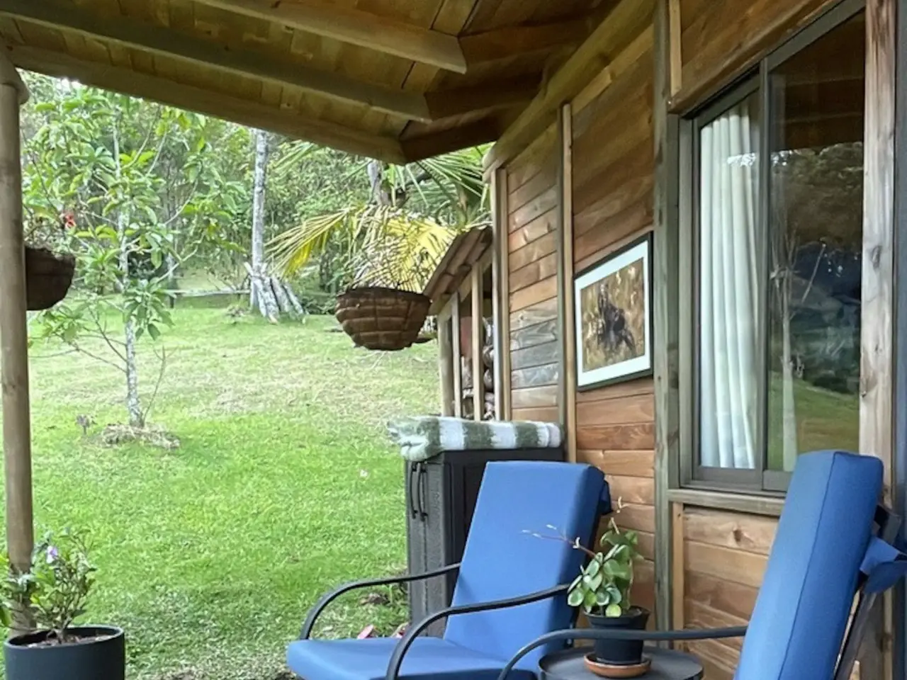 Finca Los Magnolios · Cabin, Rionegro, Medellín (view 6)